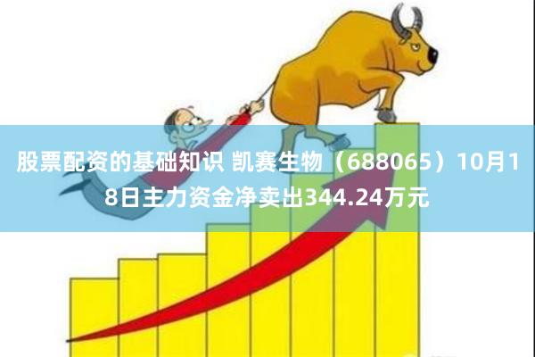 股票配资的基础知识 凯赛生物（688065）10月18日主力资金净卖出344.24万元