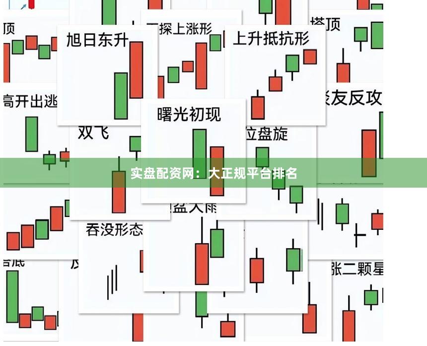 实盘配资网:大正规平台排名