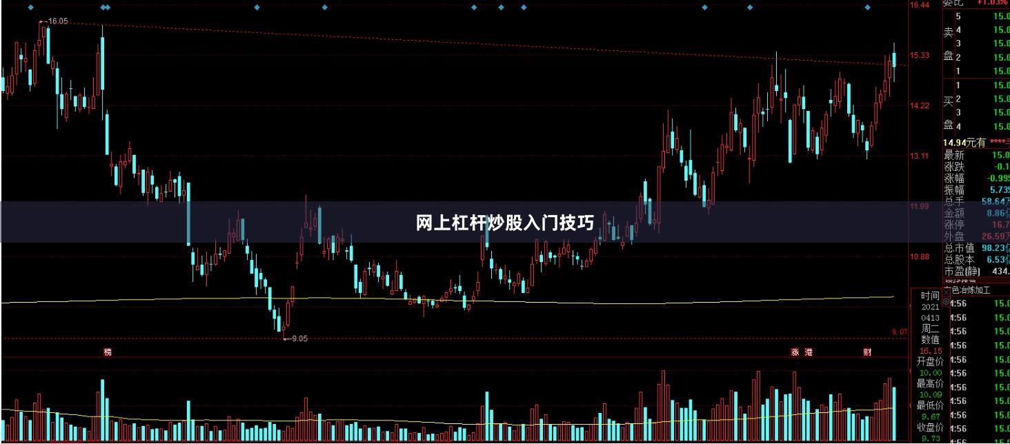 网上杠杆炒股入门技巧