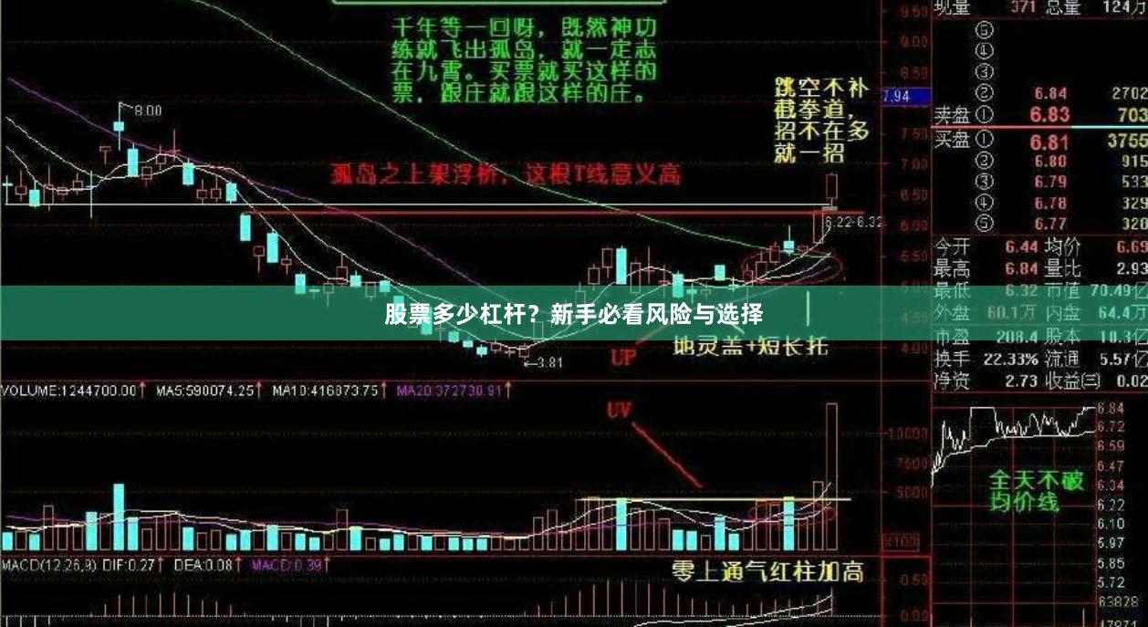 股票多少杠杆？新手必看风险与选择